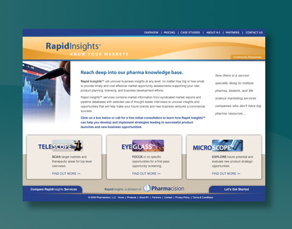 Rapid Insights Web Page