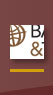 BT Logo Detail