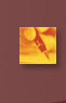 AJE Brochure Detail detail