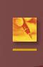 AJE Brochure Detail detail